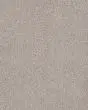 Lavish Attraction Textured Carpet