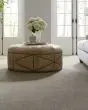 Greenwich Style Smartstrand 48oz Carpet
