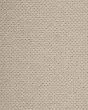 Kenetic Detail SmartStrand 55oz Carpet