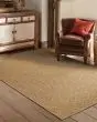 Karavia 2160n Tan Area Rug