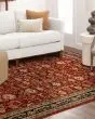 Spice Market Keralam Garnet Area Rug