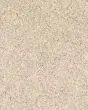 KS127 Textured 58oz Carpet