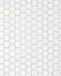 Le Cafe White Matte Porcelain 1"x1" Hexagon Mosaic Tile