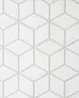 Le Cafe White Matte Porcelain Diamond Mosaic Tile