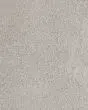 Luxuriant Feel Textured SmartStrand Carpet
