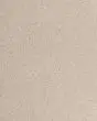 Luxuriant Feel Textured SmartStrand Carpet