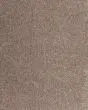 Luxuriant Life SmartStrand 55oz Carpet