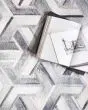 Maddox MAD-05 Silver/Ivory Area Rug