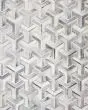 Maddox MAD-05 Silver/Ivory Area Rug