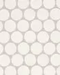 Makoto Shoji White Matte Glazed Porcelain 2" Mosaic Tile