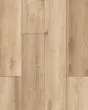 Malibu Honey Matte Porcelain Tile