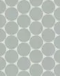 Marin Aloe Green Matte Porcelain 2" Penny Mosaic Tile