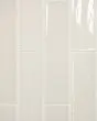 Marin Sand Dollar Glossy Glazed Ceramic 2.5"x10" Wall Tile