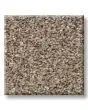 Confidence II Textured Pet Friendly 58oz Carpet