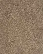 Mellow Retreat Textured SmartStrand Carpet