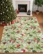 Merry & Bright MY24 Aloe Area Rug