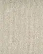 Sallida Valley Nylon Carpet