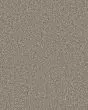 Mirador Textured 73oz Carpet