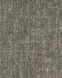 Modern Texture SmartStrand 46oz Carpet