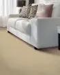 Modern Texture SmartStrand 46oz Carpet
