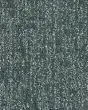 Modern Texture SmartStrand 46oz Carpet