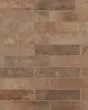 Montana Bitterroot Matte Glazed Porcelain 2.25"x10" Field Tile