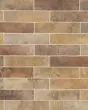 Montana Yellowstone Matte Glazed Porcelain 2.25"x10" Field Tile