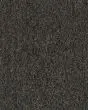 Multiplicity Textured 20oz Carpet
