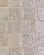 Mural Brume 6x6 Matte Tile