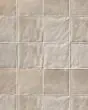 Mural Brume 6x6 Matte Tile