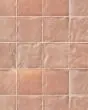 Mural Flamant 6x6 Glossy Tile