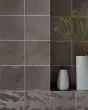 Mural Fumee 6x6 Glossy Tile
