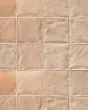 Mural Graine 6x6 Matte Tile