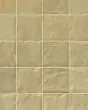 Mural Sauge 6x6 Glossy Tile