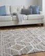 Mynka 39ICF Tan/Taupe/Ivory Area Rug