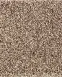 Natural Beautiful II SmartStrand Carpet