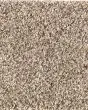 Natural Beautiful II SmartStrand Carpet