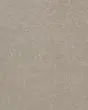 Natural Legacy Patterned SmartStrand Carpet
