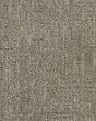 Natural Victory Patterned SmartStrand Carpet