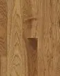 Natural Forest Hickory 3 1/4" Suede Brown Hardwood