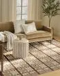 Nordic NRC06 Rust Area Rug