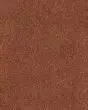 Dramatic Intrigue SmartStrand 70oz Carpet