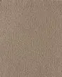 Serene Mirage Textured Kashmere Nylon 50oz Carpet