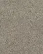 Fabric Of Life II Textured 32oz Carpet