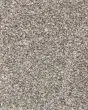 Roxborough Creek Textured 60oz Carpet