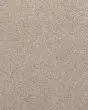 Willow Creek Textured SmartStrand 40oz Carpet