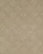 Momentous Beauty Patterned SmartStrand Carpet