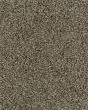 Dove Creek SmartStrand Textured 45oz Carpet