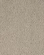 Forever Textured SmartStrand 48oz Carpet