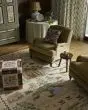 Orchard ORH-02 Antique Ivory/Multi Area Rug